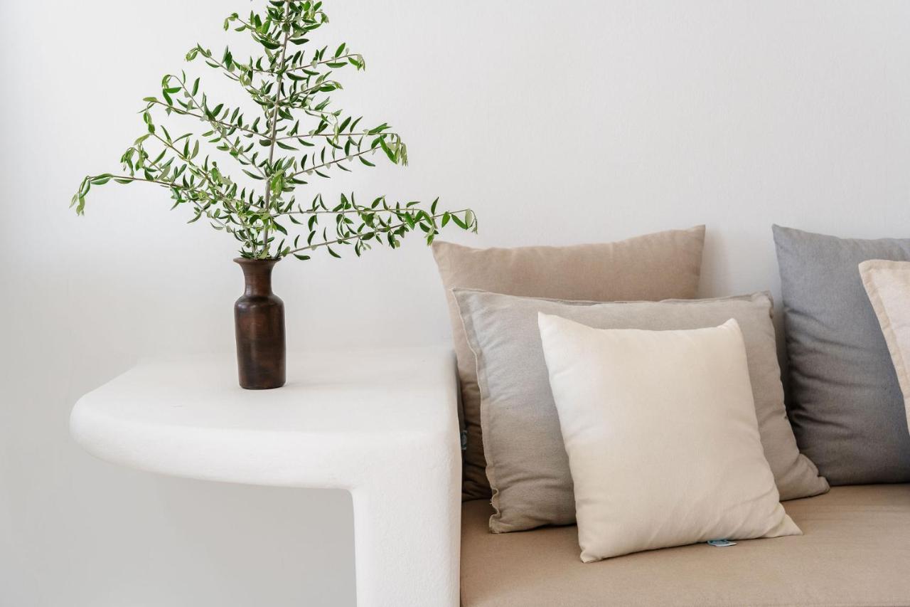 Villa Nausicaa Kastraki Naxos Naxos City 外观 照片