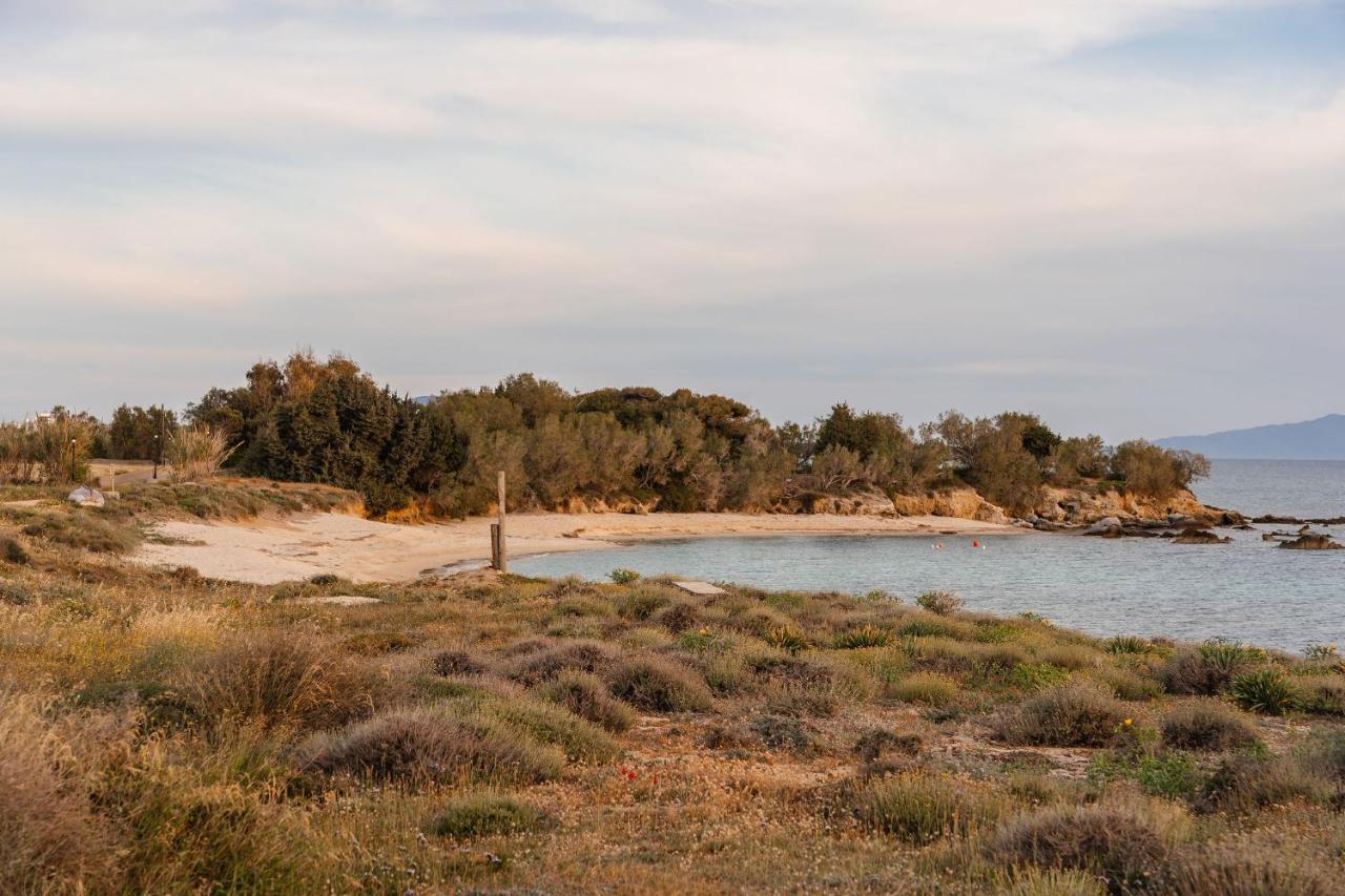 Villa Nausicaa Kastraki Naxos Naxos City 外观 照片